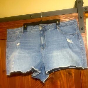 Torrid shorts size 26
